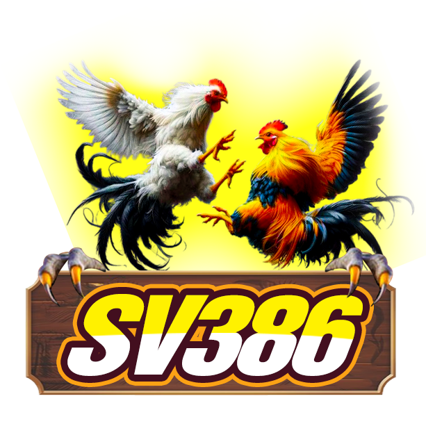 BJ292.NET – Đá Gà Thomo Trực Tiếp Tại BJ292